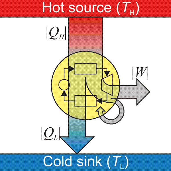 universality means in phase transitions